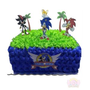 SONIC (1PA)