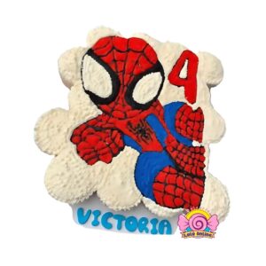 SPIDERMAN CARTOON