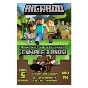 MINECRAFT (1IN)