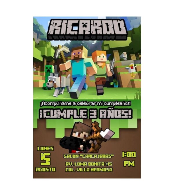 MINECRAFT (1IN)