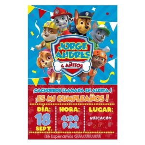 PAW PATROL (1IN)