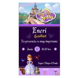 PRINCESA SOFIA (1IN)